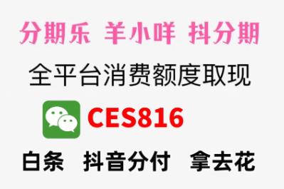 京东白条怎么套出来 提现，白条怎么扫码向个人付款